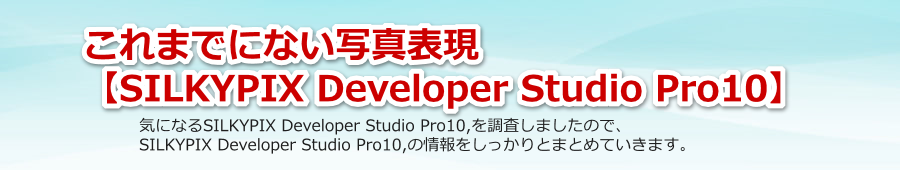 SILKYPIX Developer Studio Pro10̌R~